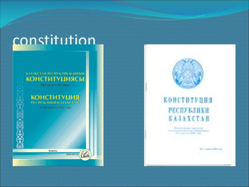 constitution